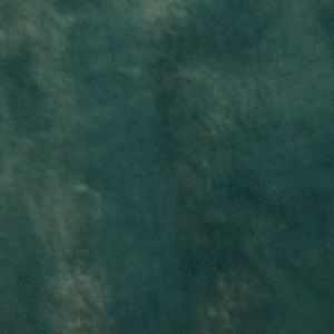 Meet your Posher, Donya